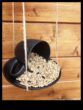 10 เครื่องให้อาหารนก DIY สำหรับสวนหลังบ้านของคุณ